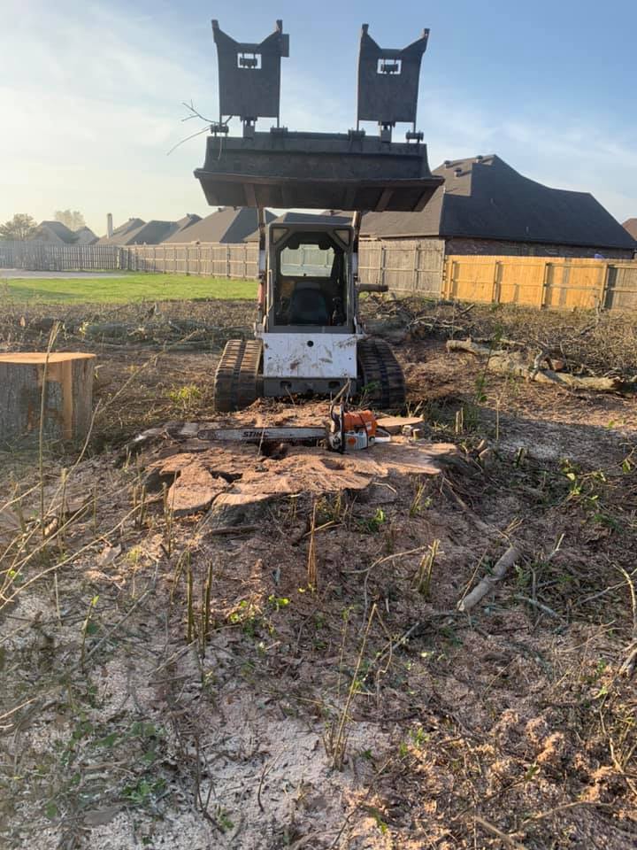 land clearing