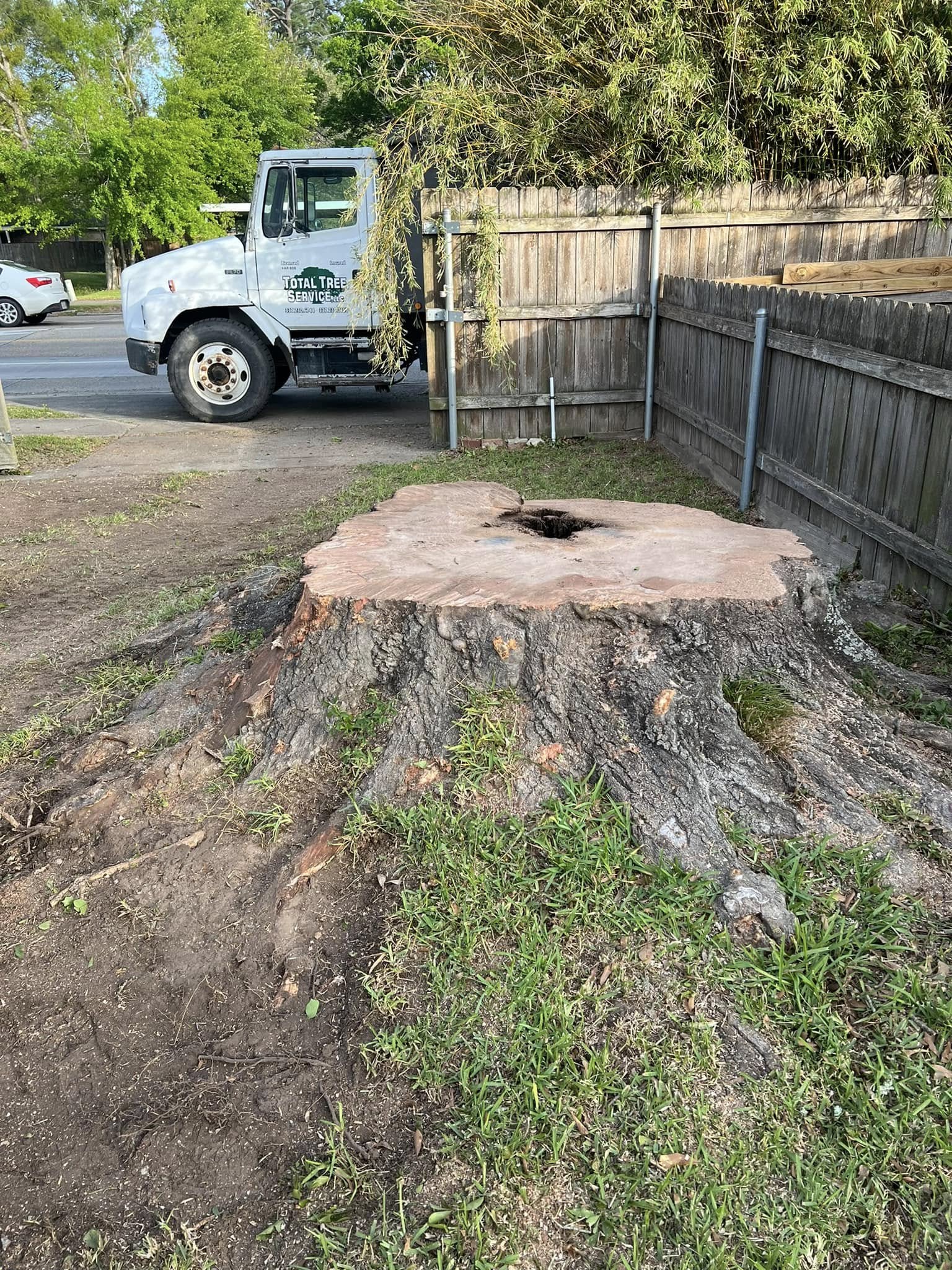 Stump gringing