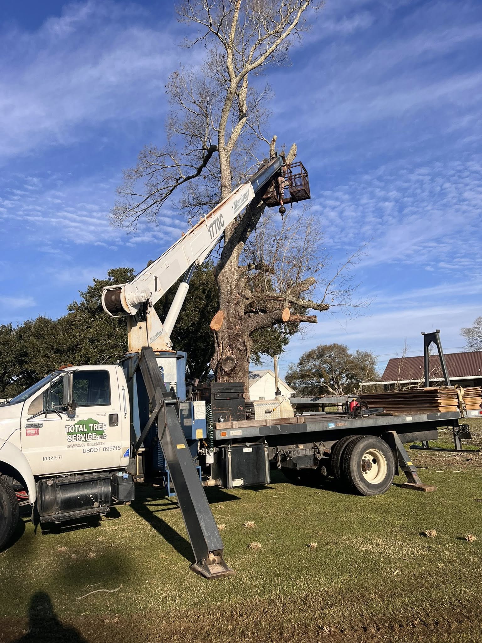 Tree removal