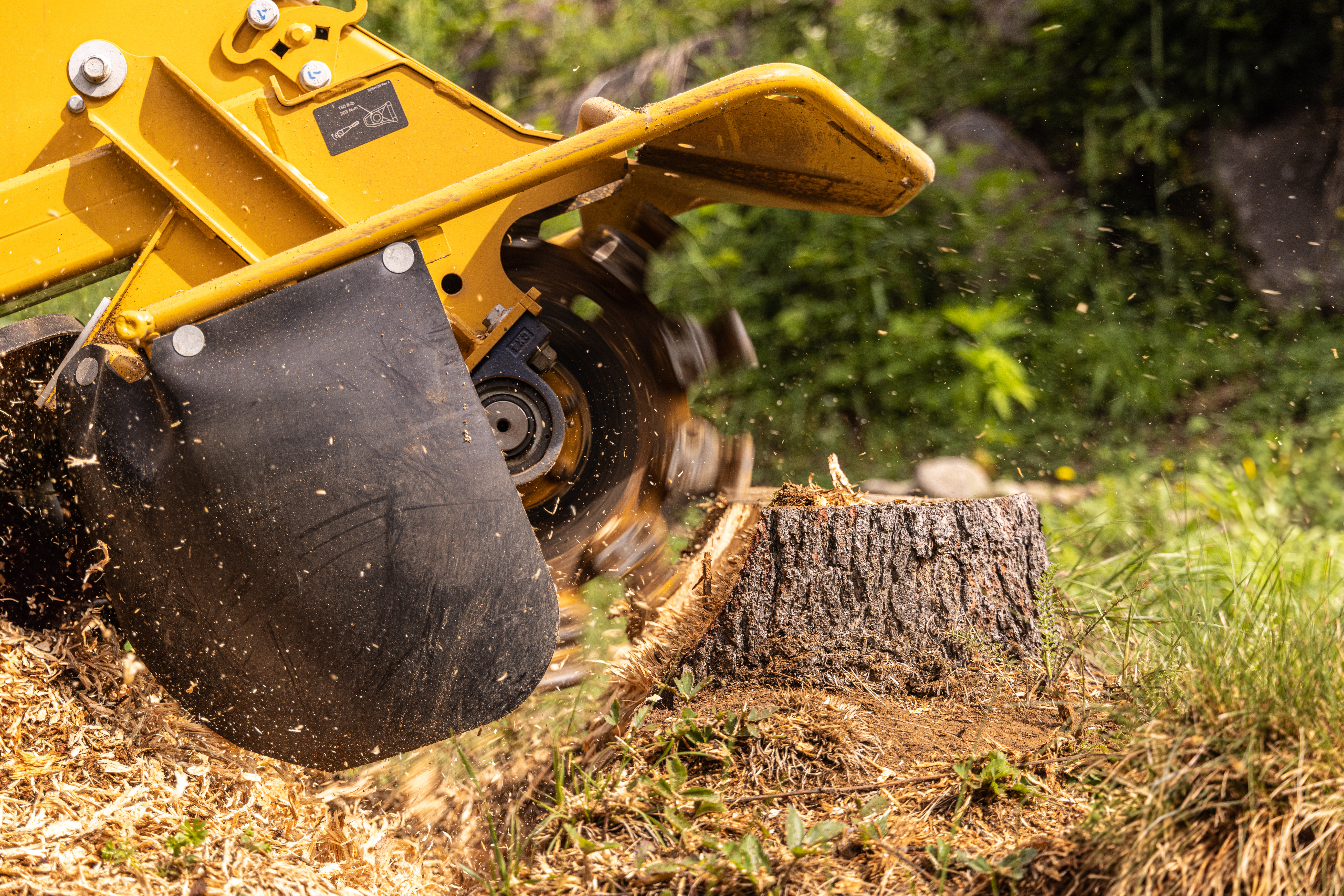 stump removal